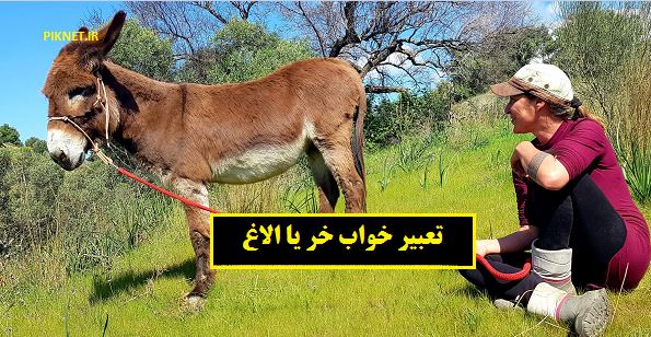 تعبیر خواب خر یا الاغ از حضرت یوسف (ع) تعبیر خواب خر یا الاغ از حضرت یوسف (ع)