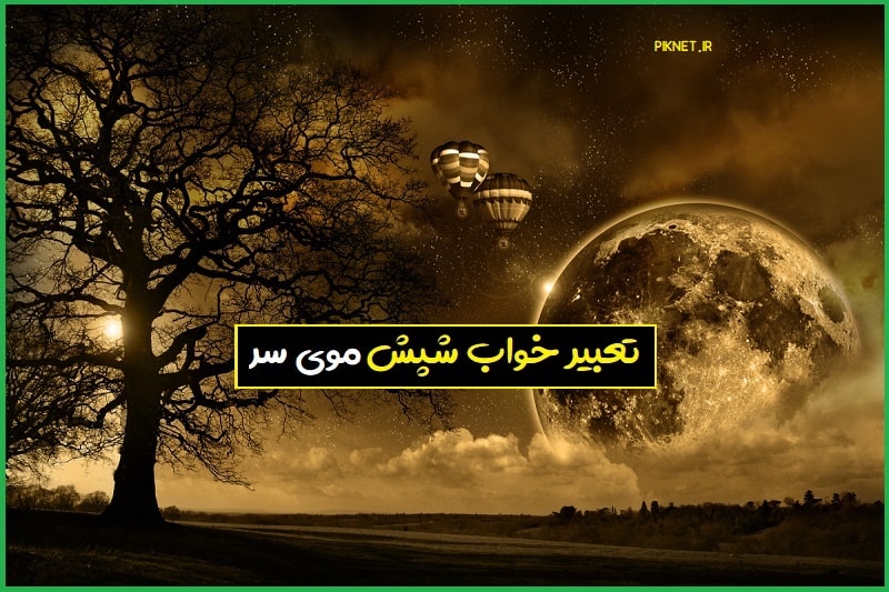 تعبیر خواب شپش ؛ دیدن شپش مو در سر خودم و دیگران تعبیر خواب شپش ؛ دیدن شپش مو در سر خودم و دیگران