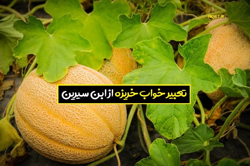 تعبیر خواب خربزه از نظر ابن سیرین